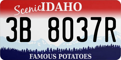ID license plate 3B8037R