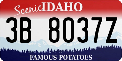 ID license plate 3B8037Z