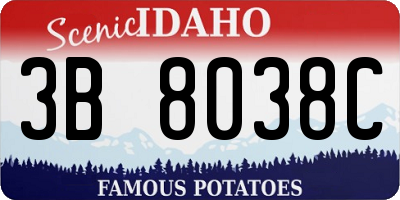 ID license plate 3B8038C