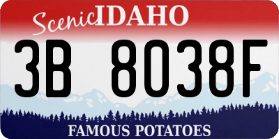 ID license plate 3B8038F