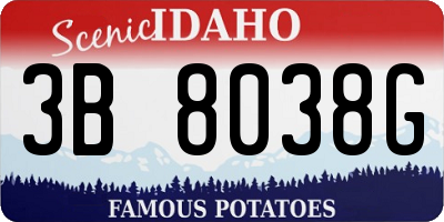 ID license plate 3B8038G