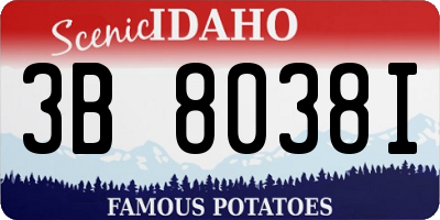ID license plate 3B8038I
