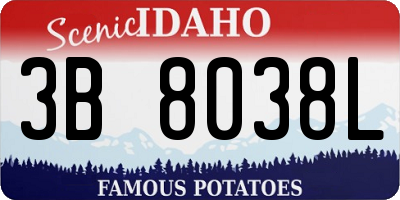 ID license plate 3B8038L