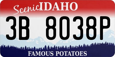 ID license plate 3B8038P