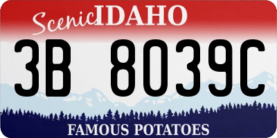 ID license plate 3B8039C