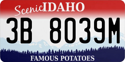 ID license plate 3B8039M