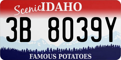 ID license plate 3B8039Y