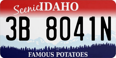 ID license plate 3B8041N