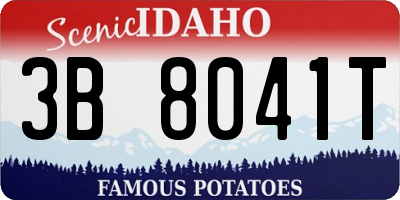 ID license plate 3B8041T