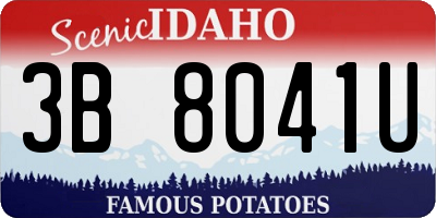 ID license plate 3B8041U