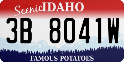 ID license plate 3B8041W