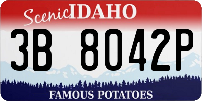 ID license plate 3B8042P