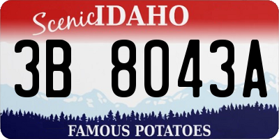 ID license plate 3B8043A