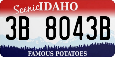 ID license plate 3B8043B