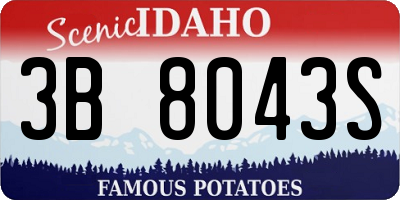 ID license plate 3B8043S