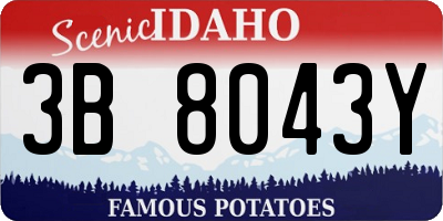 ID license plate 3B8043Y