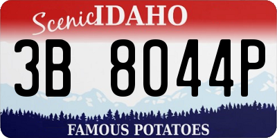 ID license plate 3B8044P