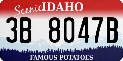 ID license plate 3B8047B
