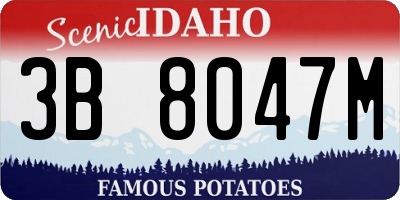 ID license plate 3B8047M