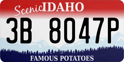 ID license plate 3B8047P