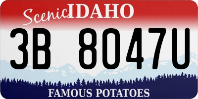 ID license plate 3B8047U