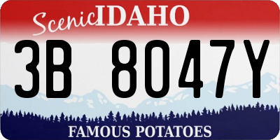 ID license plate 3B8047Y