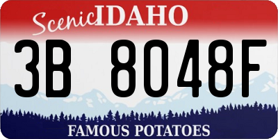 ID license plate 3B8048F