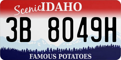 ID license plate 3B8049H