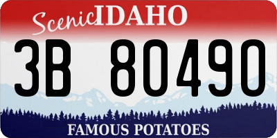 ID license plate 3B8049O