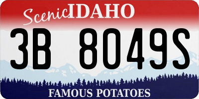 ID license plate 3B8049S