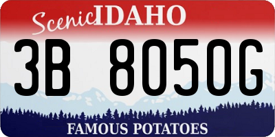 ID license plate 3B8050G