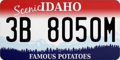 ID license plate 3B8050M