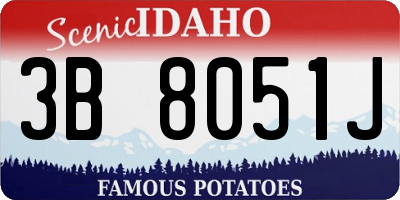 ID license plate 3B8051J
