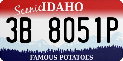 ID license plate 3B8051P