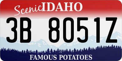 ID license plate 3B8051Z