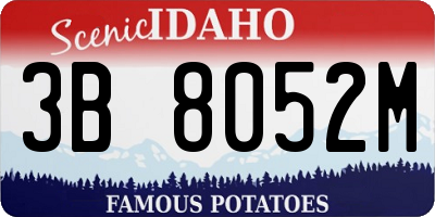 ID license plate 3B8052M