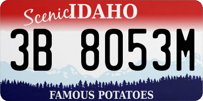 ID license plate 3B8053M