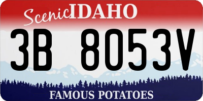 ID license plate 3B8053V