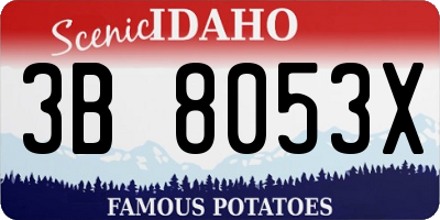 ID license plate 3B8053X
