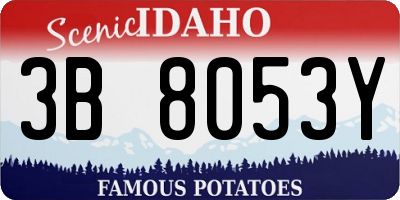 ID license plate 3B8053Y