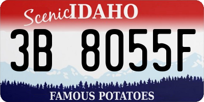 ID license plate 3B8055F