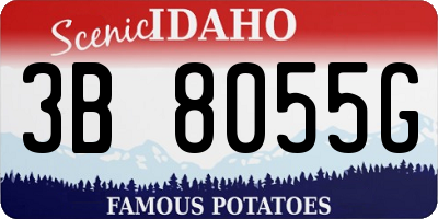 ID license plate 3B8055G