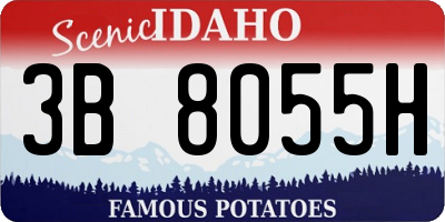 ID license plate 3B8055H