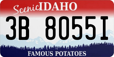 ID license plate 3B8055I