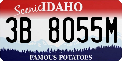 ID license plate 3B8055M