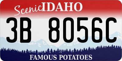 ID license plate 3B8056C