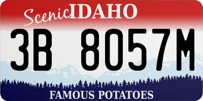 ID license plate 3B8057M