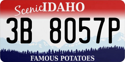 ID license plate 3B8057P