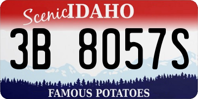 ID license plate 3B8057S