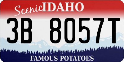 ID license plate 3B8057T